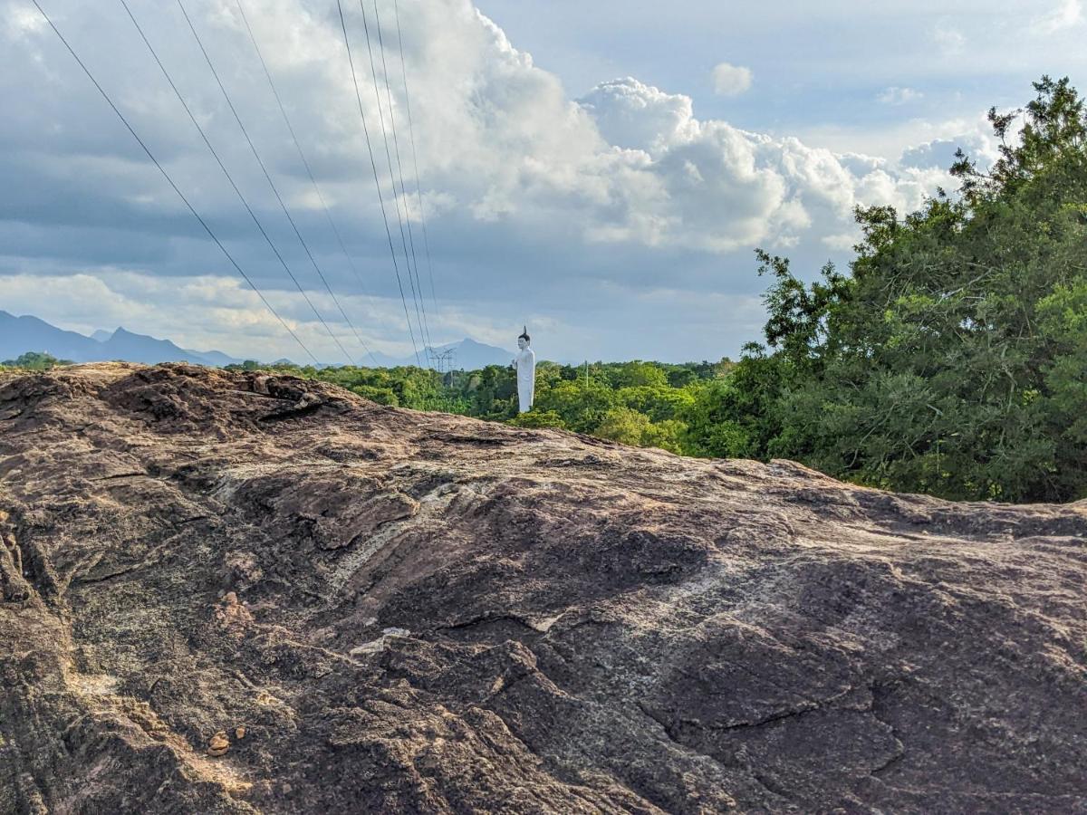 Sigiri Choona Lodge 'Unique Sunrise Viewpoint' Sigiriya Exterior photo